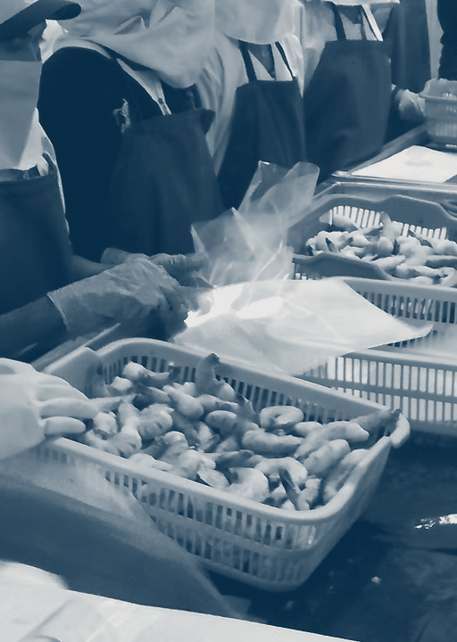 Inside the Rising Tide processing unit
